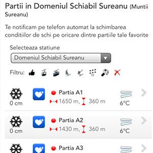 Partii de schi